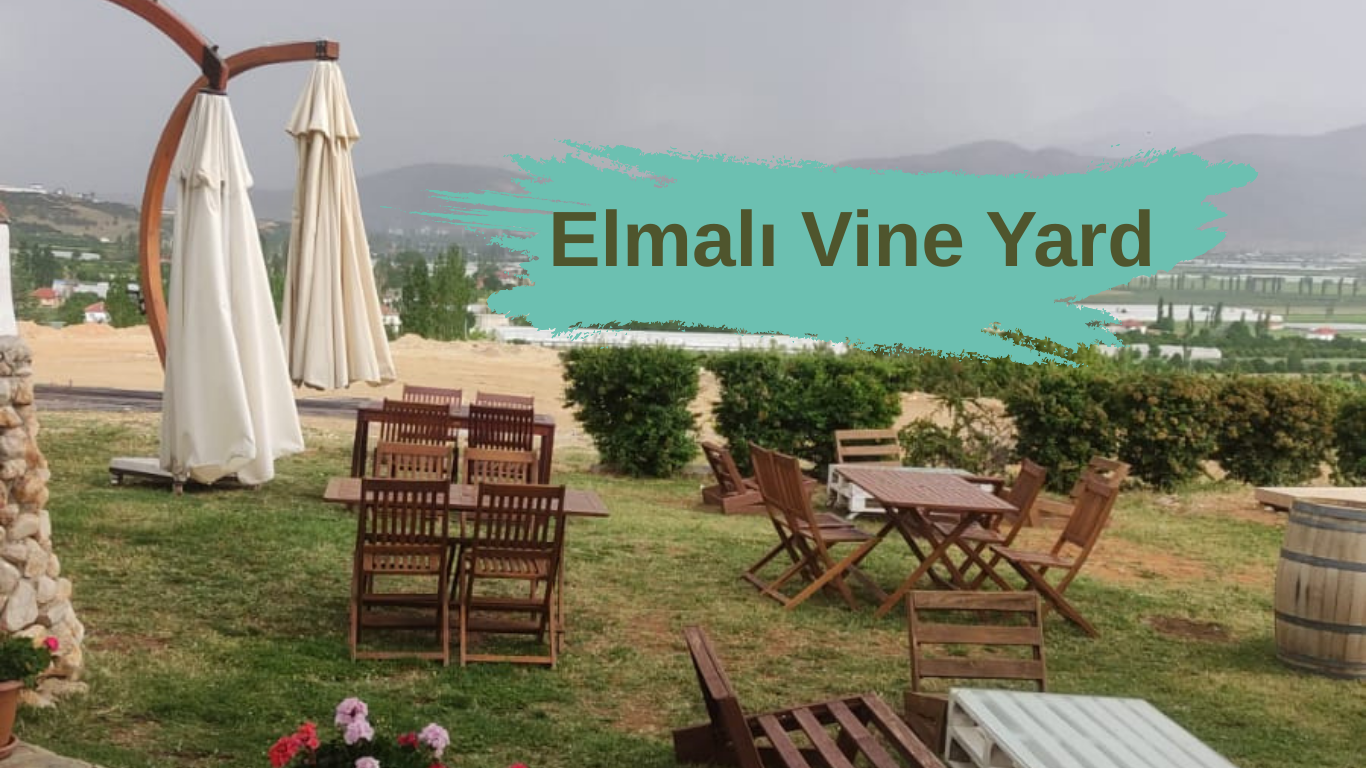 Elmalı vine tour from antalya kaş kalkan